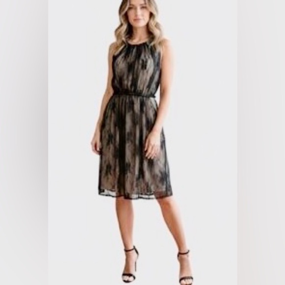 Aritzia Wilfred Helena lace dress